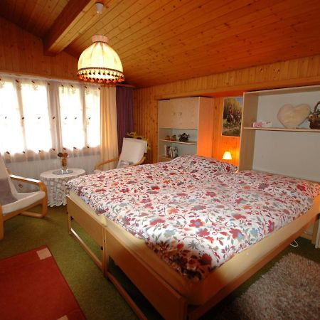 Pristine Home In A Charming Village Large Grassy Sunbathing Area View Of The M Nch And Jungfrau ويلدرسويل المظهر الخارجي الصورة
